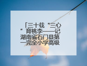三十载“三心”育桃李——记湖南省石门县第一完全小学高级教师覃玲君