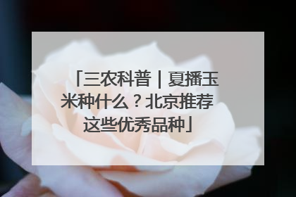 三农科普｜夏播玉米种什么？北京推荐这些优秀品种