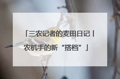 三农记者的麦田日记丨农机手的新“搭档”