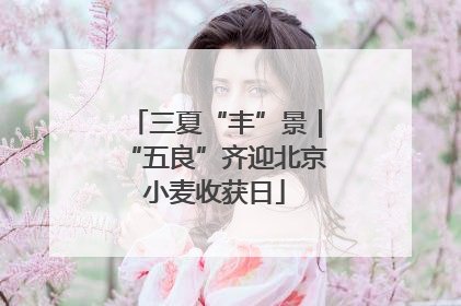 三夏“丰”景｜“五良”齐迎北京小麦收获日