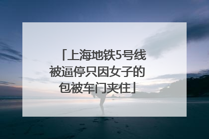 上海地铁5号线被逼停只因女子的包被车门夹住