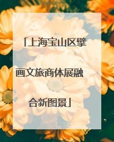 上海宝山区擘画文旅商体展融合新图景