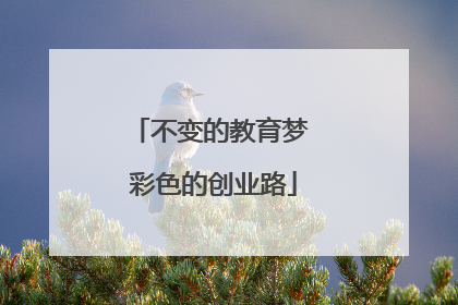 不变的教育梦 彩色的创业路