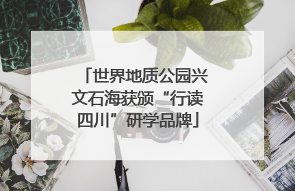 世界地质公园兴文石海获颁“行读四川”研学品牌