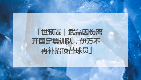 世预赛｜武磊因伤离开国足集训队，伊万不再补招顶替球员