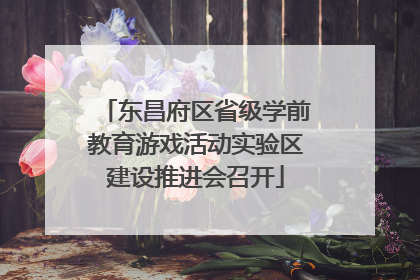 东昌府区省级学前教育游戏活动实验区建设推进会召开