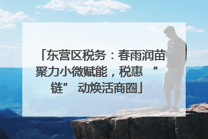 东营区税务：春雨润苗聚力小微赋能，税惠 “链” 动焕活商圈