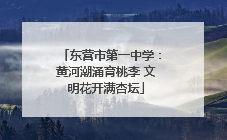 东营市第一中学：黄河潮涌育桃李 文明花开满杏坛