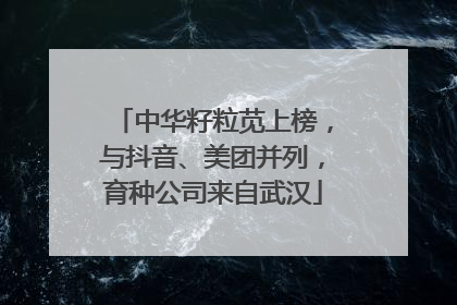 中华籽粒苋上榜，与抖音、美团并列，育种公司来自武汉