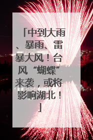 中到大雨、暴雨、雷暴大风！台风“蝴蝶”来袭，或将影响湖北！