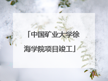 中国矿业大学徐海学院项目竣工