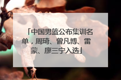 中国男篮公布集训名单，周琦、曾凡博、雷蒙、廖三宁入选