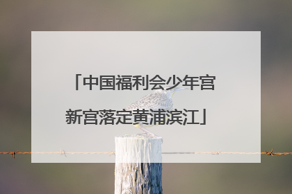 中国福利会少年宫新宫落定黄浦滨江