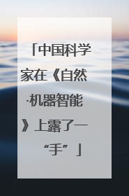 中国科学家在《自然·机器智能》上露了一“手”
