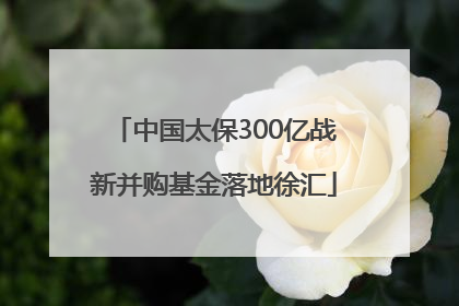 中国太保300亿战新并购基金落地徐汇