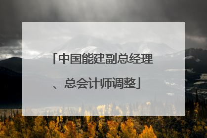 中国能建副总经理、总会计师调整