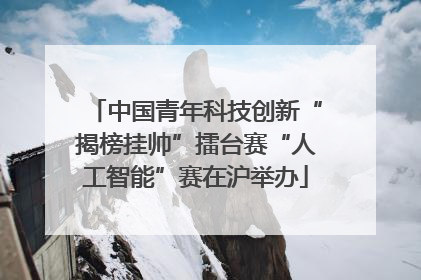 中国青年科技创新“揭榜挂帅”擂台赛“人工智能”赛在沪举办