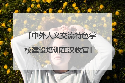 中外人文交流特色学校建设培训在汉收官