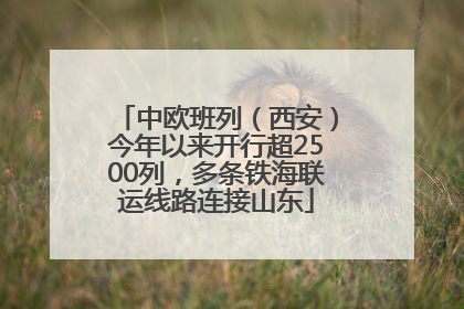 中欧班列（西安）今年以来开行超2500列，多条铁海联运线路连接山东