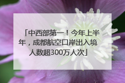 中西部第一！今年上半年，成都航空口岸出入境人数超300万人次