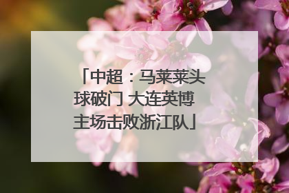 中超：马莱莱头球破门 大连英博主场击败浙江队