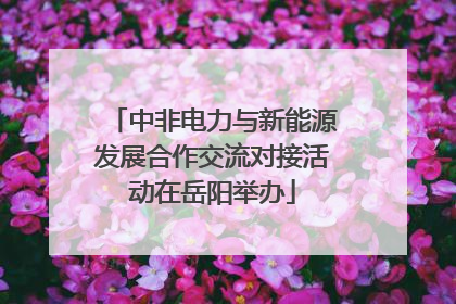 中非电力与新能源发展合作交流对接活动在岳阳举办