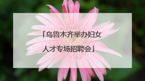 乌鲁木齐举办妇女人才专场招聘会