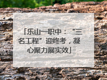 乐山一职中：“三名工程”迎终考，凝心聚力展实效