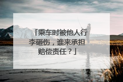 乘车时被他人行李砸伤，谁来承担赔偿责任？