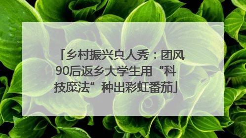 乡村振兴真人秀：团风90后返乡大学生用“科技魔法”种出彩虹番茄