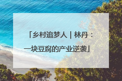 乡村追梦人｜林丹：一块豆腐的产业逆袭