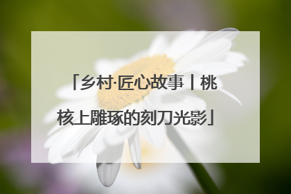 乡村·匠心故事丨桃核上雕琢的刻刀光影