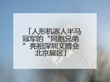人形机器人半马冠军的“同胞兄弟”亮相深圳文博会北京展区