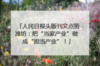 人民日报头版刊文点赞潍坊：把“当家产业”做成“担当产业”！