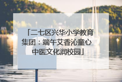 二七区兴华小学教育集团：端午艾香沁童心 中医文化润校园