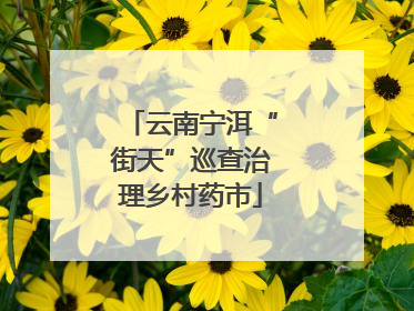 云南宁洱“街天”巡查治理乡村药市