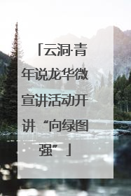 云洞·青年说龙华微宣讲活动开讲“向绿图强”