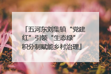五河东刘集镇“党建红”引领“生态绿” 积分制赋能乡村治理