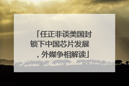 任正非谈美国封锁下中国芯片发展，外媒争相解读