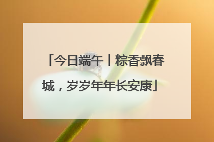 今日端午丨粽香飘春城，岁岁年年长安康