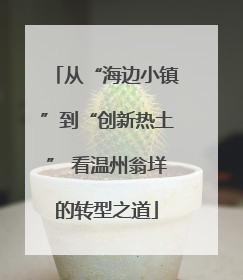 从“海边小镇”到“创新热土” 看温州翁垟的转型之道