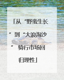 从“野蛮生长”到“大浪淘沙” 骑行市场回归理性