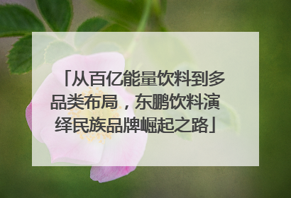 从百亿能量饮料到多品类布局，东鹏饮料演绎民族品牌崛起之路