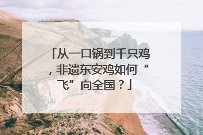 从一口锅到千只鸡，非遗东安鸡如何“飞”向全国？