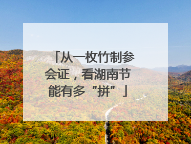 从一枚竹制参会证，看湖南节能有多“拼”