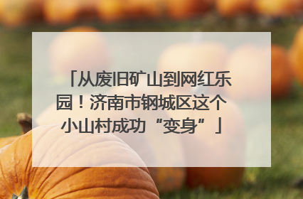从废旧矿山到网红乐园！济南市钢城区这个小山村成功“变身”