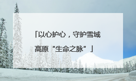 以心护心，守护雪域高原“生命之脉”
