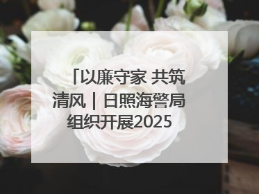 以廉守家 共筑清风｜日照海警局组织开展2025年集中送廉活动