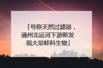 号称天然过滤器，通州北运河下游新发现大量蚌科生物