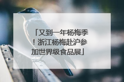 又到一年杨梅季！浙江杨梅赴沪参加世界级食品展